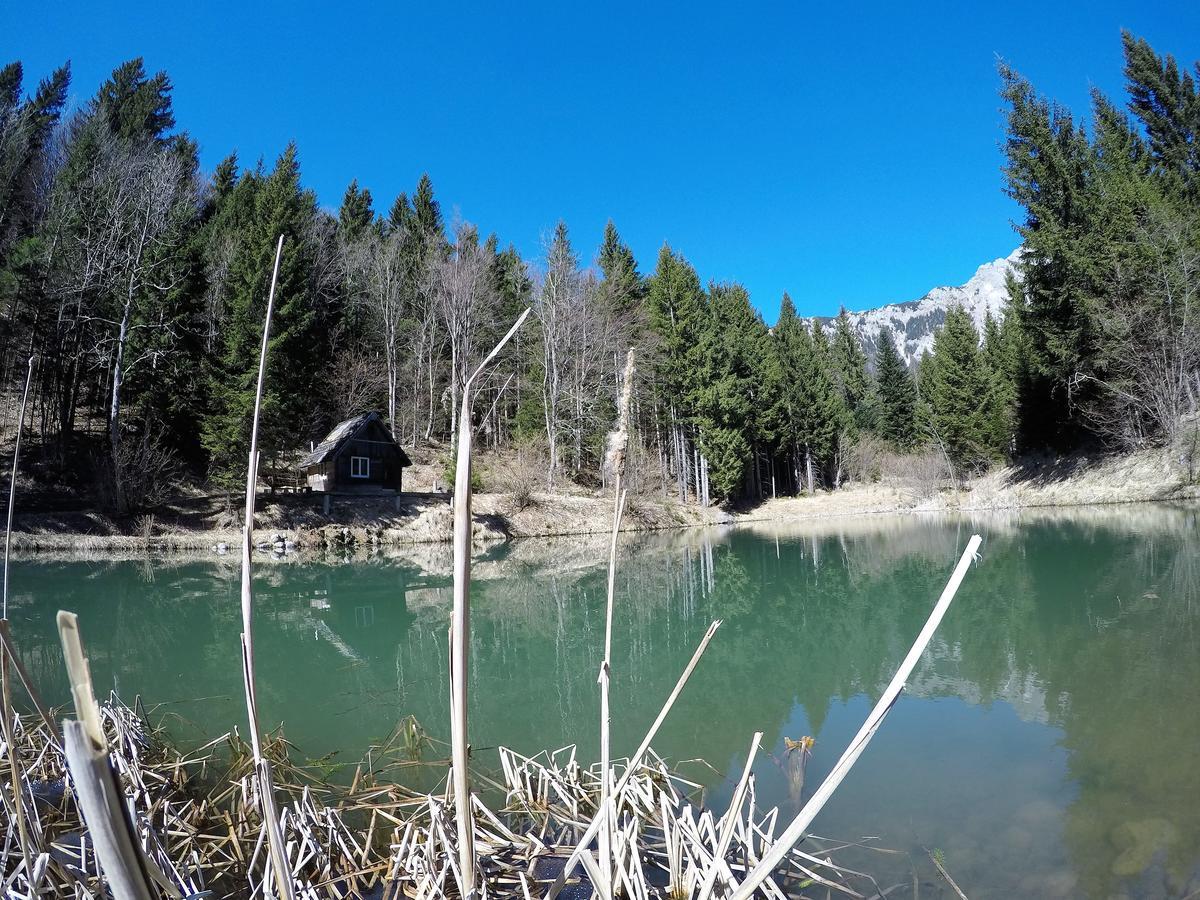 Bed and Breakfast Karami Mountainhouse Тржич Екстер'єр фото
