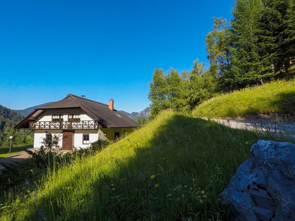 Bed and Breakfast Karami Mountainhouse Тржич Екстер'єр фото